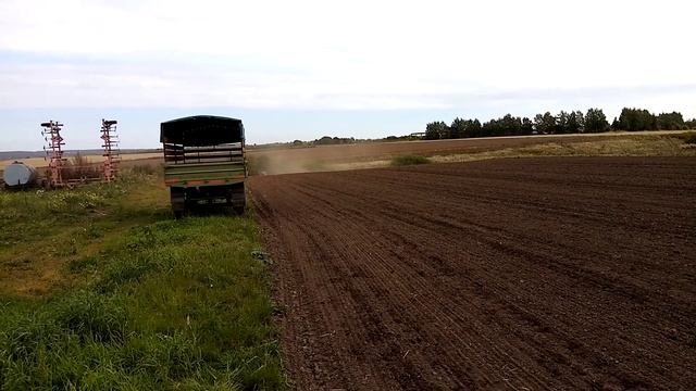 Прикатываем озимую пшеницу на mtz 82. 1