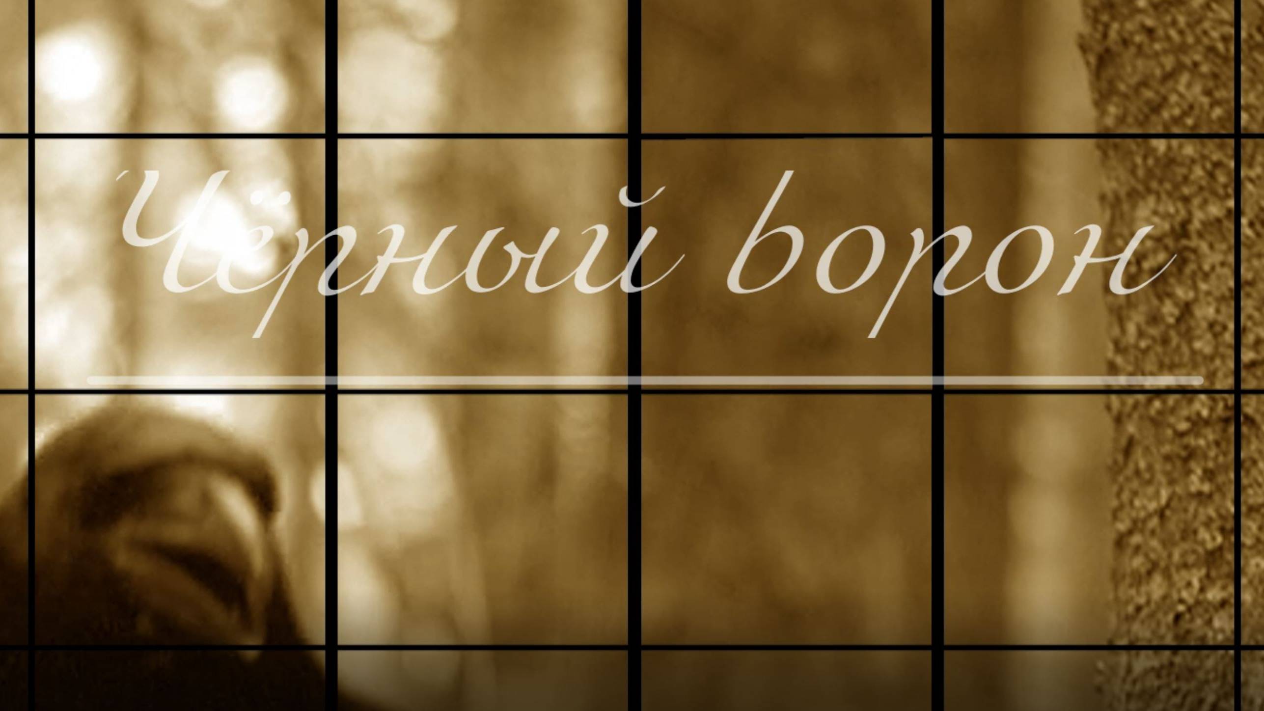 Черный ворон