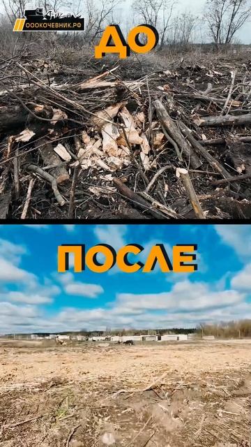 Курск: до / после