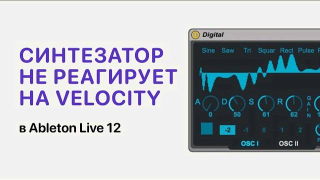 Если синтезатор не реагирует на Velocity в Ableton Live 12 [Ableton Pro Help]