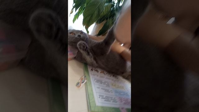1000148881.mp4