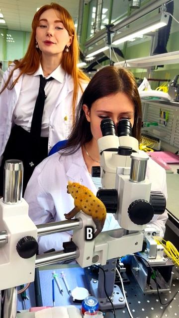 Лиза - в Центре ВОСПИ в Москве.