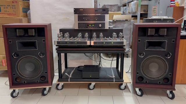 Напольная акустика Toshiba SS-100