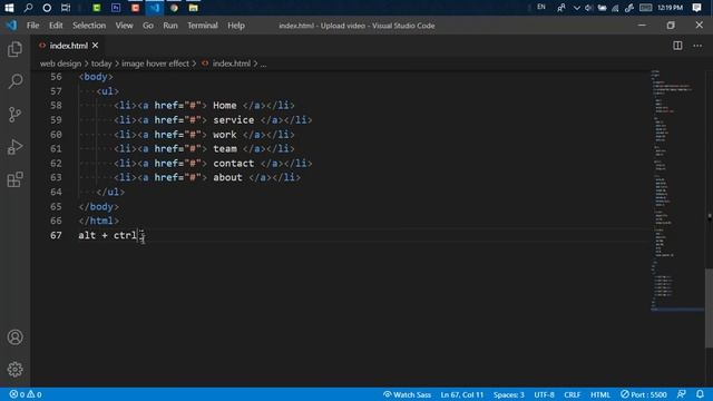 List Item Hover and Background Color Change in HTML and CSS || Programmer Shipon