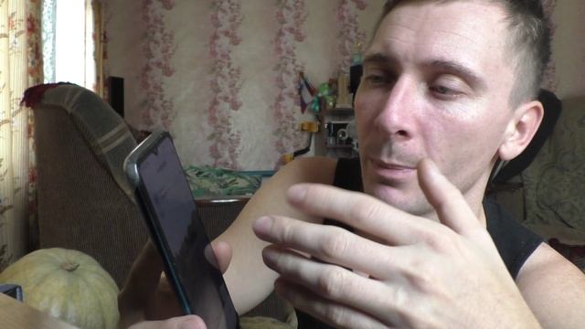 Почему приложение Mastodon вылетает?