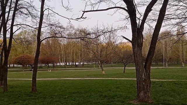Весна гуляє парком. Звуки природи. Ранковий спів пташок.