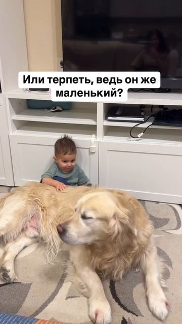 Ребёнок бьёт кошку, щипает вас, дерётся в саду?