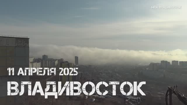 Владивосток туман и солнце (11 апреля2025).
