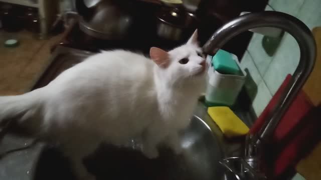 Где вода!? Хочу помыться!