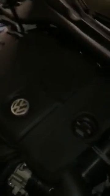 VW 2.5 Engine Squeak.