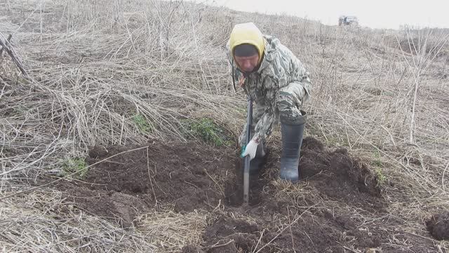"Коп без драйва, что лето без тепла 🌞 Без радостных эмоций, металл копать нельзя 🤷♂"
