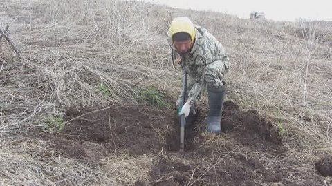 "Коп без драйва, что лето без тепла 🌞 Без радостных эмоций, металл копать нельзя 🤷♂"
