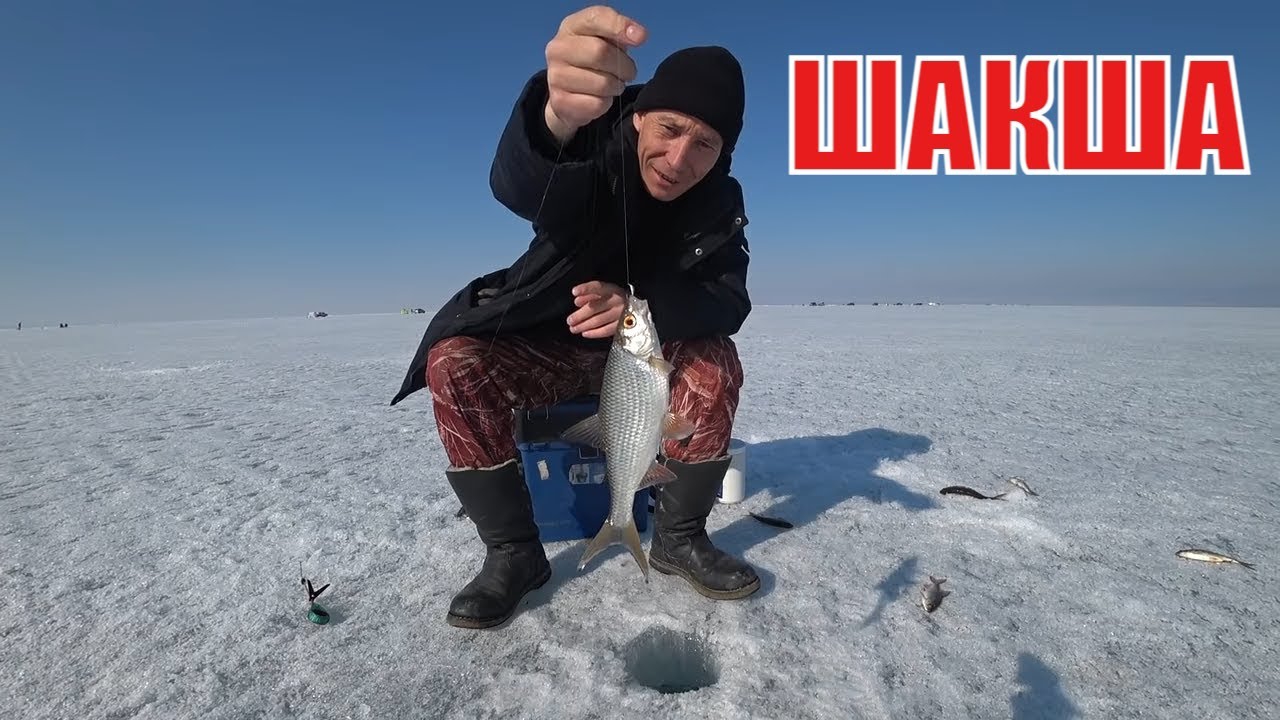 РЫБАЛКА В АПРЕЛЕ НА ПЛОТВУ.