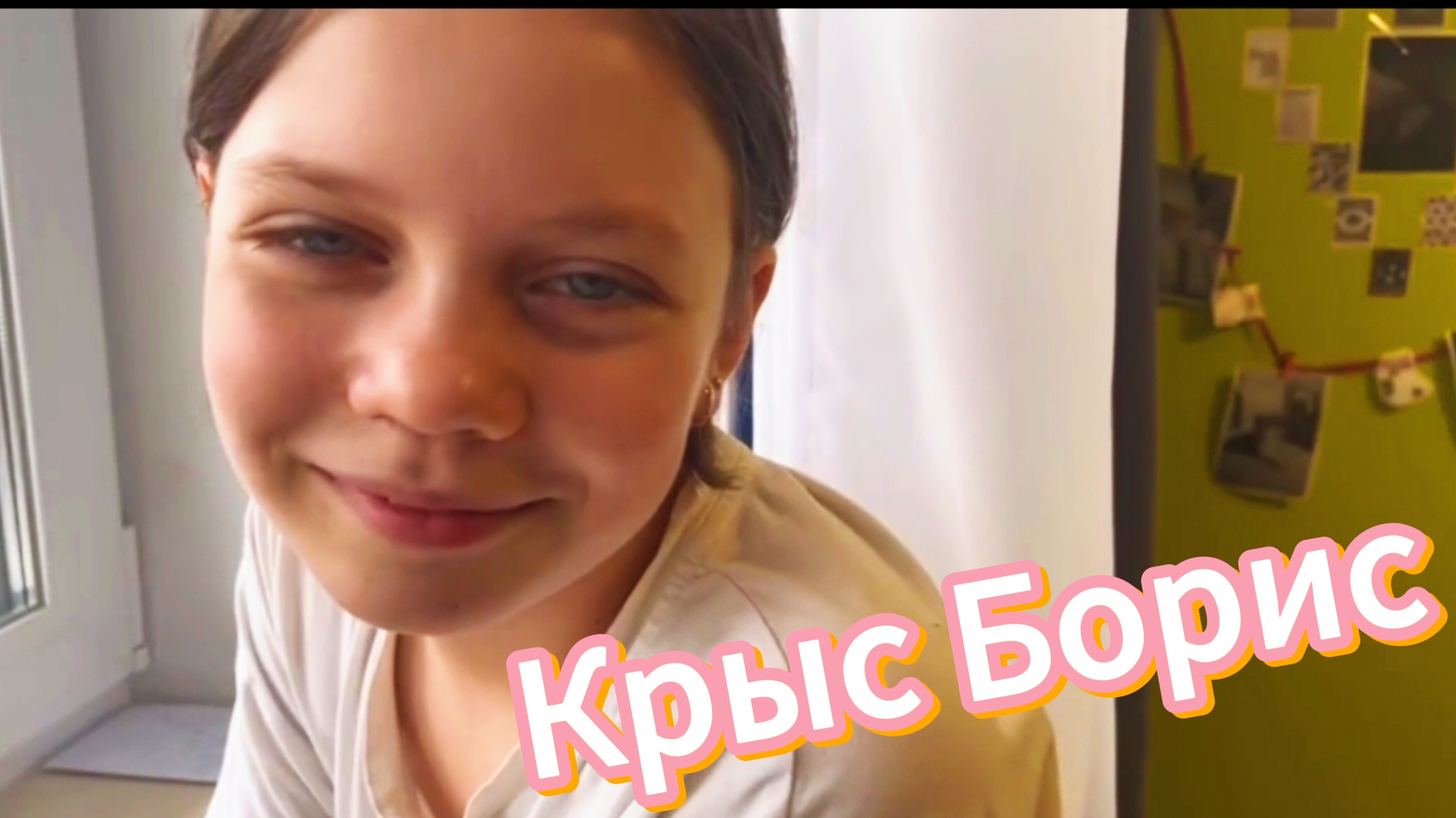 Наш новый питомец.Крыс Борис