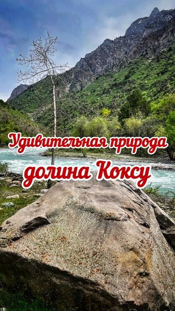 Коксу однодневный поход пикник с шашлыками