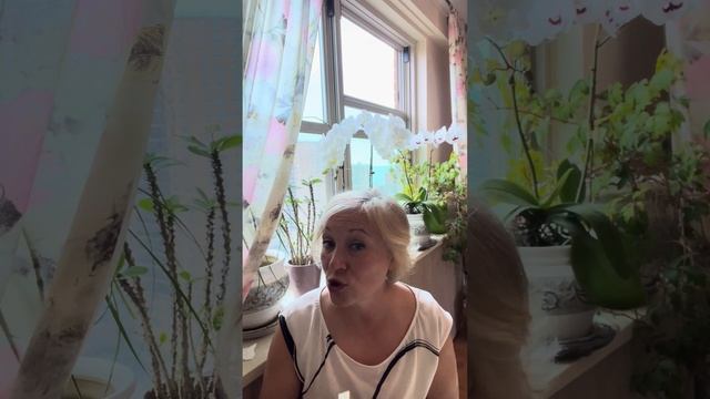 ТАРО прогноз - ВЕСЫ. 3-9 Июня 2024. TAROT forecast - Libra. 3-9 June 2024.