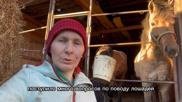 непростая жизнь в деревни городских лодырей