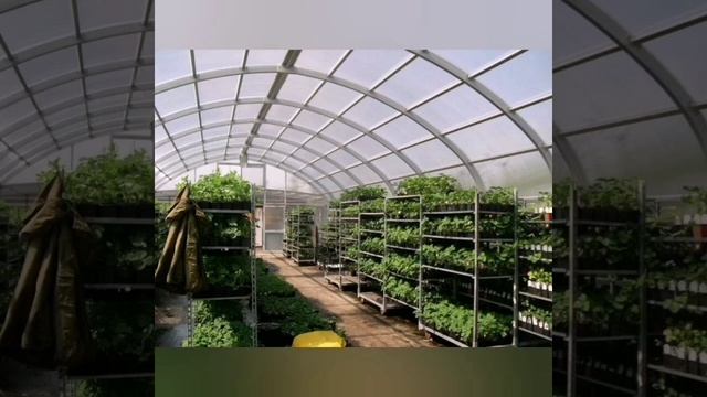 YouCut_20250416_205314017.mp4