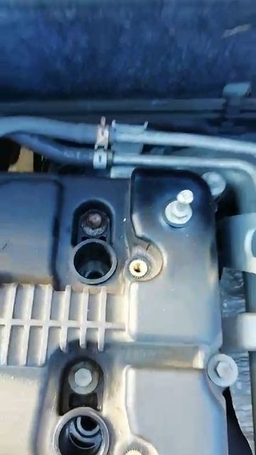 VID-20250220-WA0003
