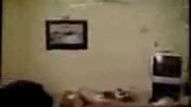 летучий кот долбанулся об стенку