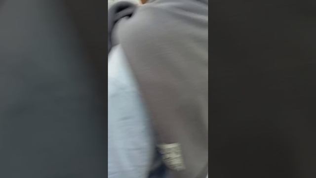 мистер бист