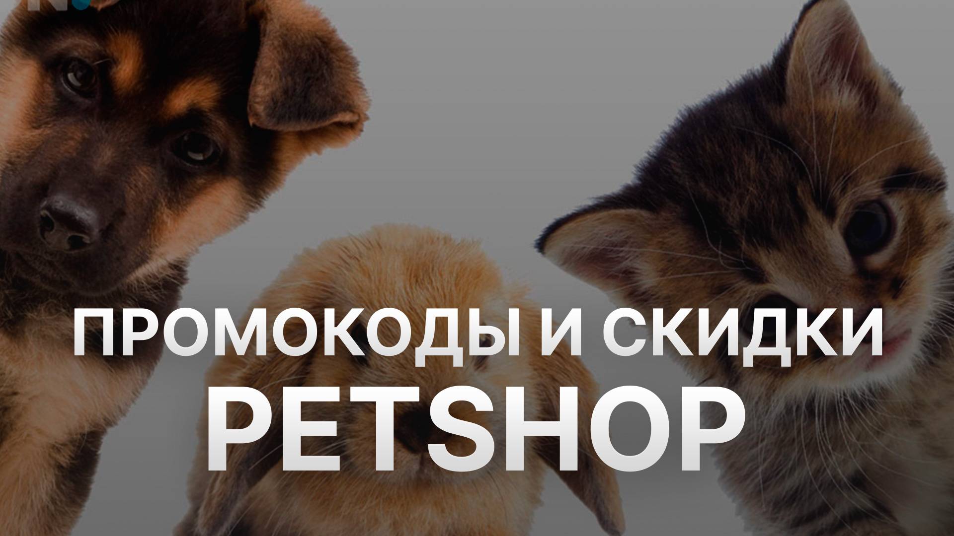 ⚠️ Промокод Petshop 2025: Скидки и Купоны Петшоп - Промокоды Petshop