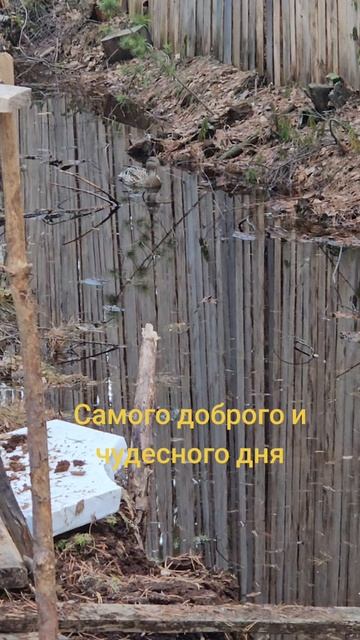 С добрым утром!