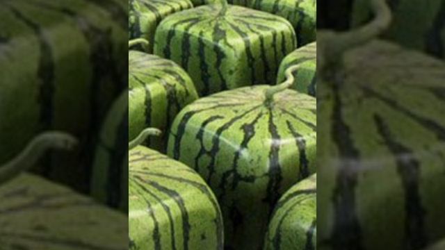 Что ты за " фрукт" в Божьем саду?