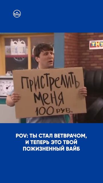 ветеринарный вайб
