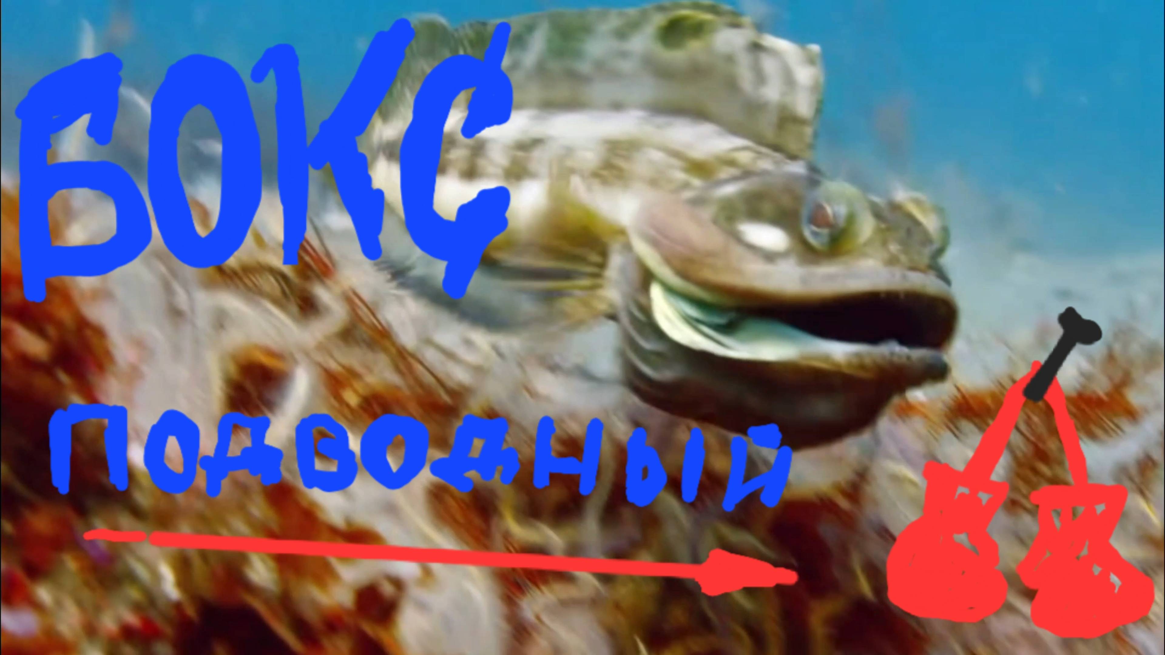 Большерот держит удар