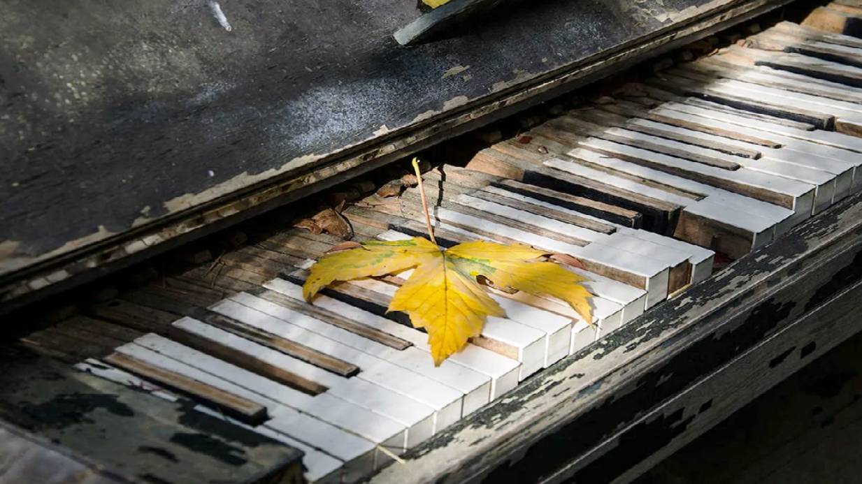 Я ЗНАЮ МНОГО ПЕСЕН О ЛЮБВИ