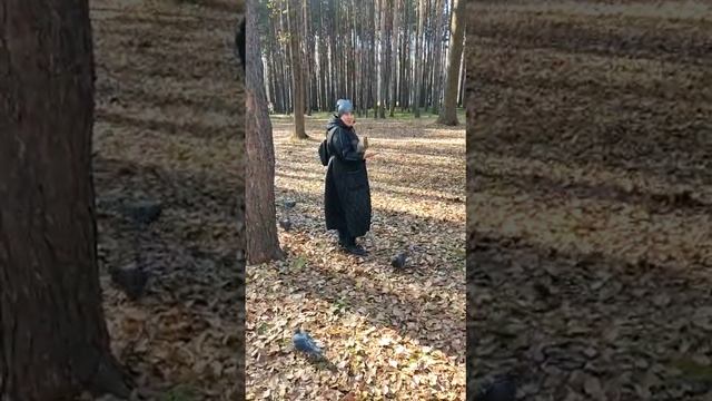 белочка акробат ✌🙃😉