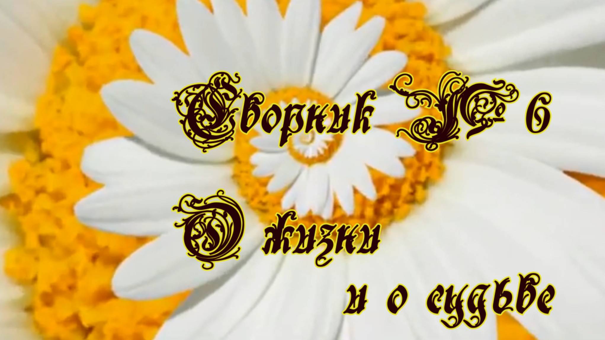 Сборник №6 О жизни и о судьбе