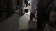 Наш быт, в блиндаже.mp4
