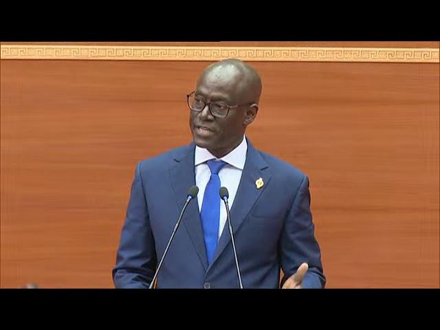 Thierno Alassane Sall désarme et détruit pastef sur la proposition de l'interprétation de la loi.