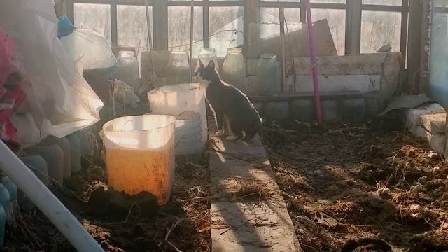 Дымус первый раз в таком страшном месте .