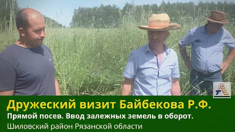 Ввод залежных земель в оборот. Результаты посева сеялками VITON-1. Рязанская область