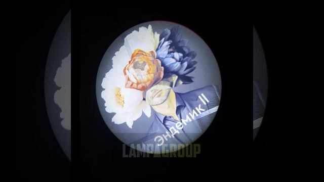 Полноцвет - произведение искусства !