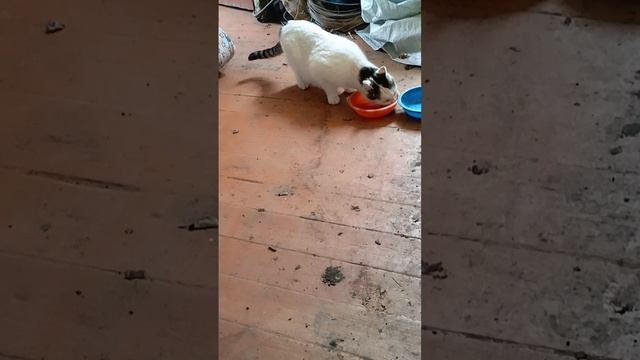 1000018933.mp4