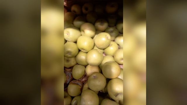 Магазин Магнит "Смит или Гала"