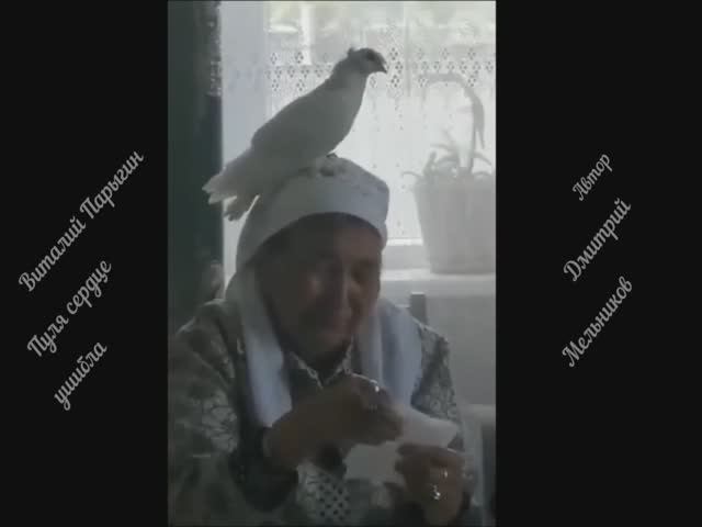 Виталий Парыгин - Пуля сердце ушибла