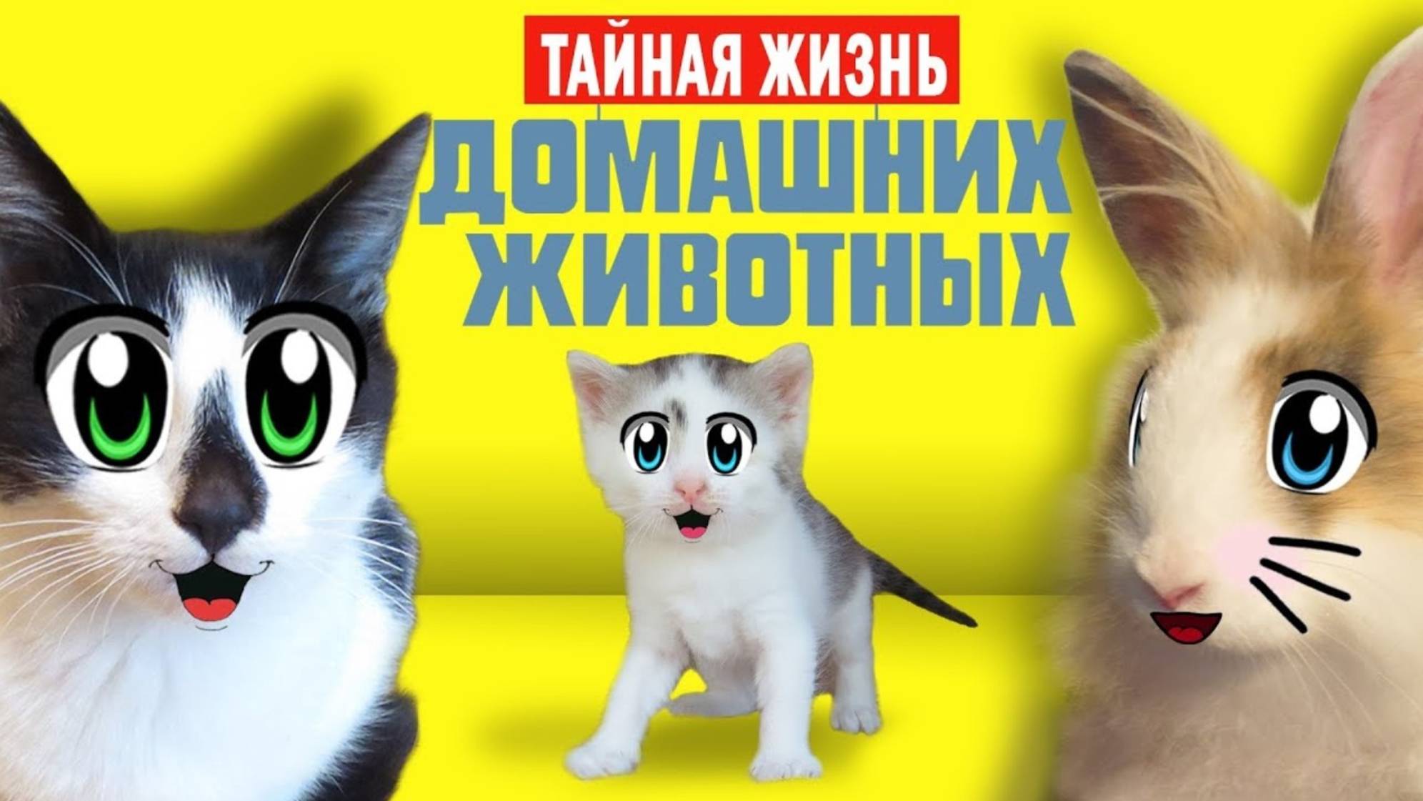 СМЕШНЫЕ ЖИВОТНЫЕ ОДНИ ДОМА! КОТИКИ МАЛЫШ и МУРКА ПОЮТ ПЕСНЮ! ЗАЛЕЗ В ХОЛОДИЛЬНИК | А ну-ка давай-ка