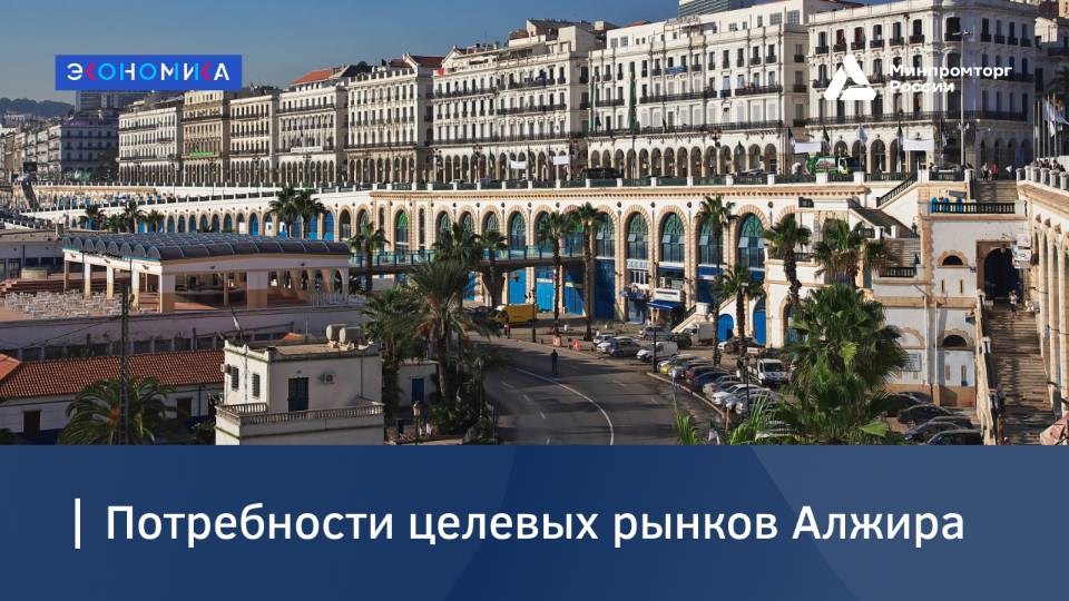Потребности целевых рынков Алжира
