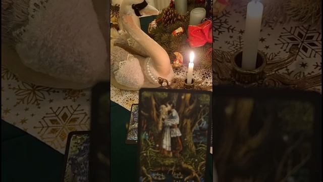 каковы намерения вашего партнёра  в отношении вас!