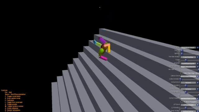 A Ragdoll on Stairs