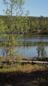 О том, как хороша природа, не часто говорит народ...
