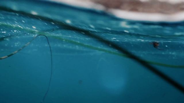 la jolla test shots