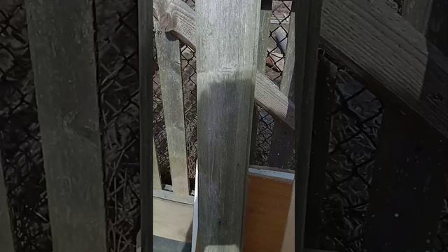мастерим полочку для рассады .mp4