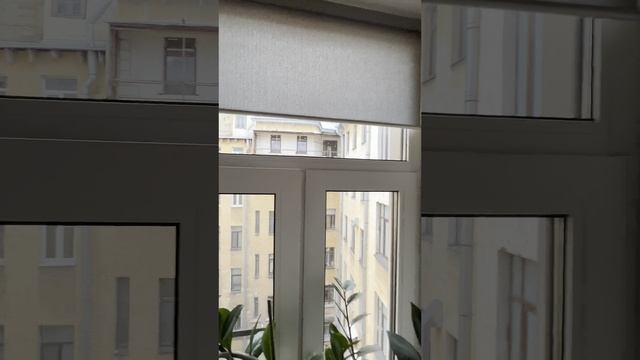 Продается квартира у Таврического сада