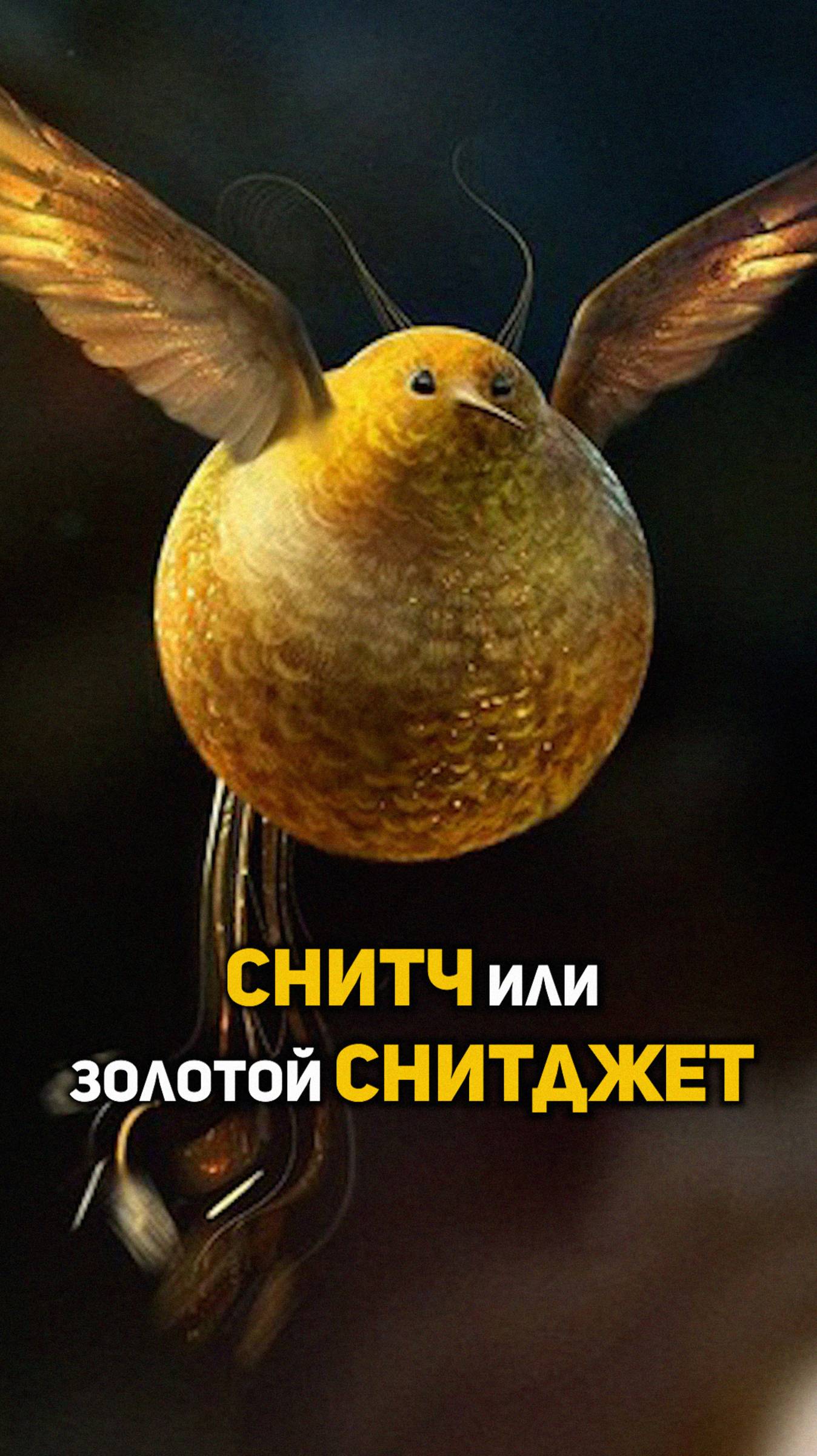 Снитч или золотой Снитджет #shorts #гаррипоттер